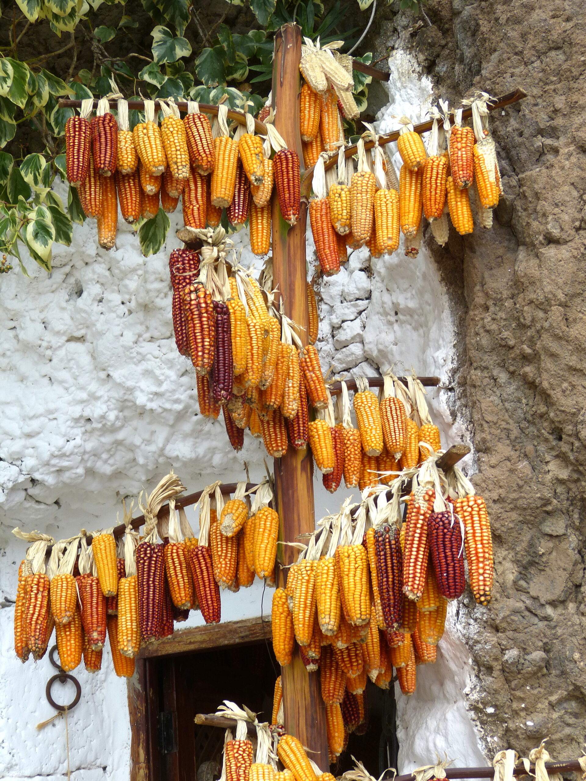 Dried maize hangs from wooden racks outside a traditional dwelling in Artenara, showcasing local agricultural practices in Gran Canaria's highlands.