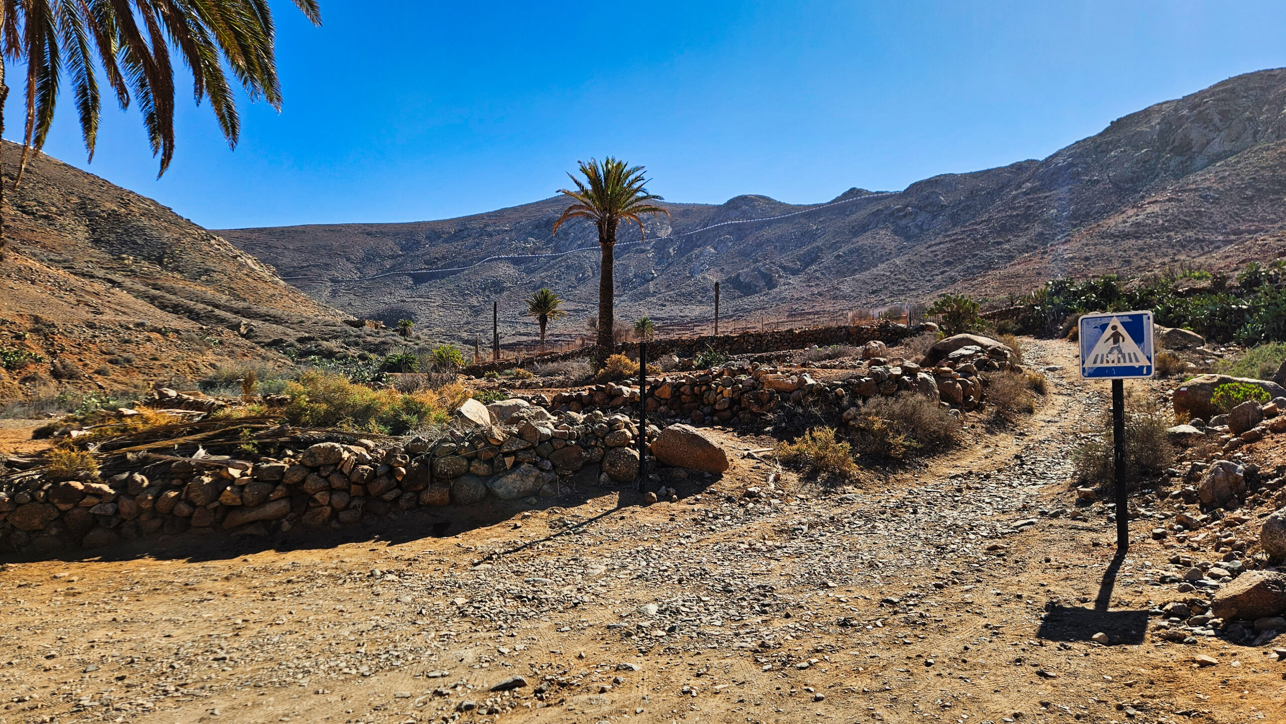 The Barranco de las Peñitas near Betancuria features the characteristic dry landscape of Fuerteventura, with palm trees and traditional stone walls set against rocky terrain.