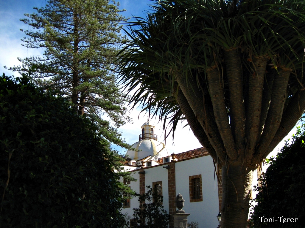 The basilica’s domed roof rises above lush vegetation in the highland town of Teror.