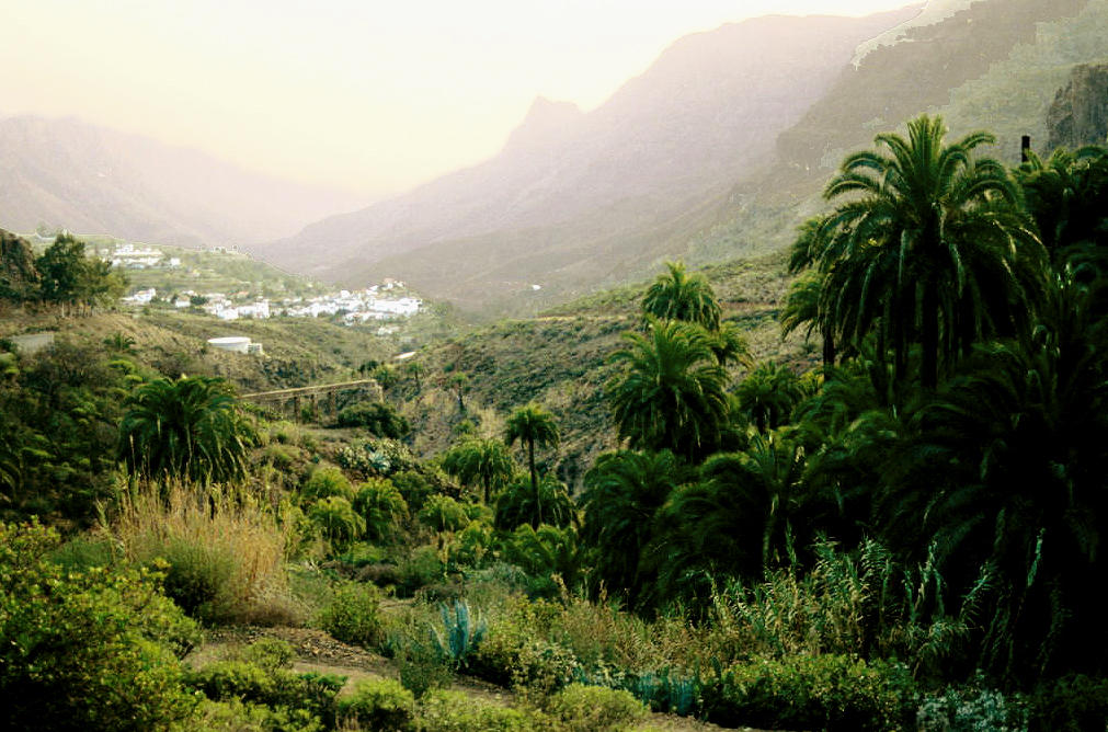 The verdant Caldera de Tirajana valley showcases Gran Canaria's dramatic interior landscape, with traditional white buildings scattered across the terraced hillsides beneath towering volcanic peaks.