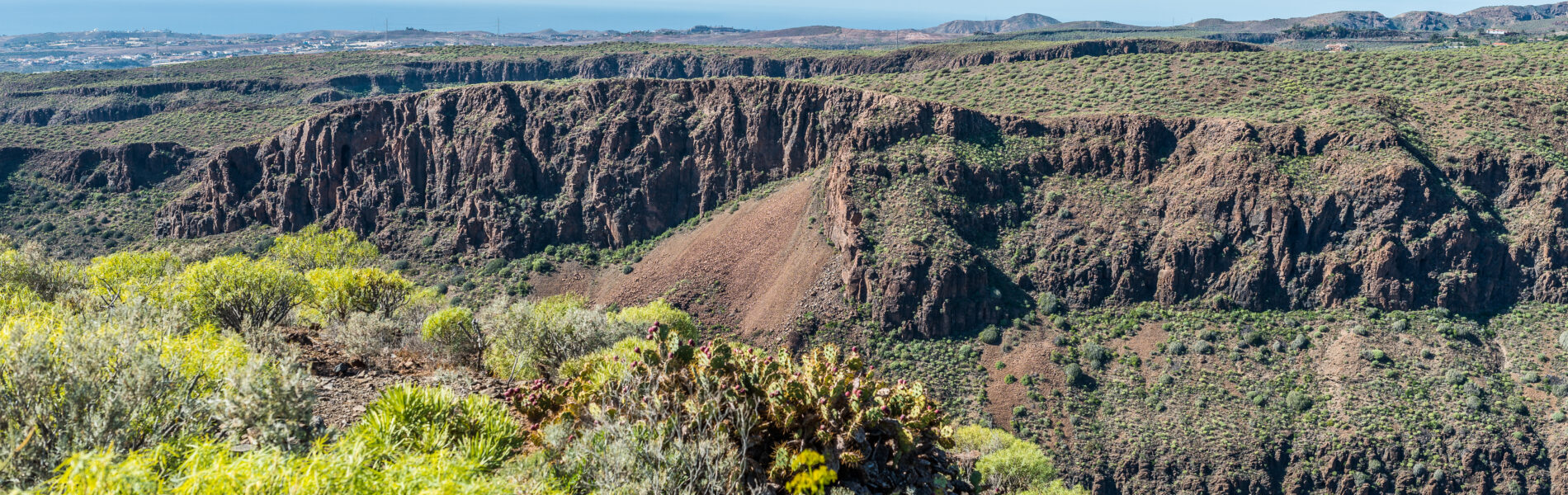 Steep basalt cliffs and volcanic rock formations rising from verdant ravine with sparse vegetation and ocean horizon beyond