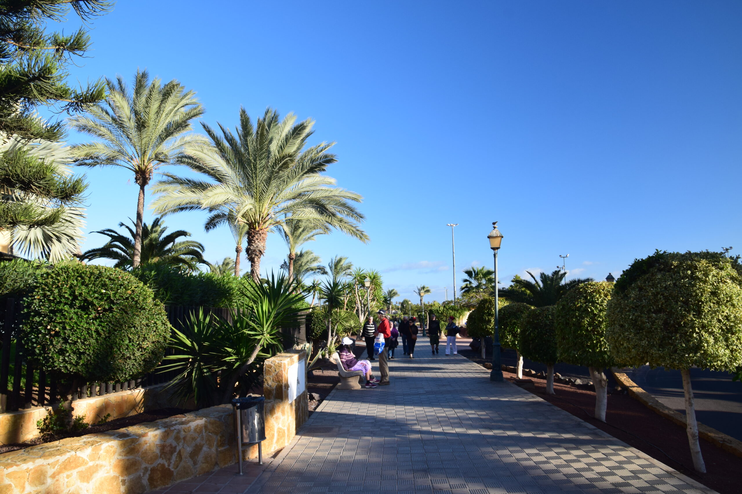 The scenic beachside promenade at Castillo Beach features mature palms, manicured landscaping, and a wide paved walkway ideal for strolling.