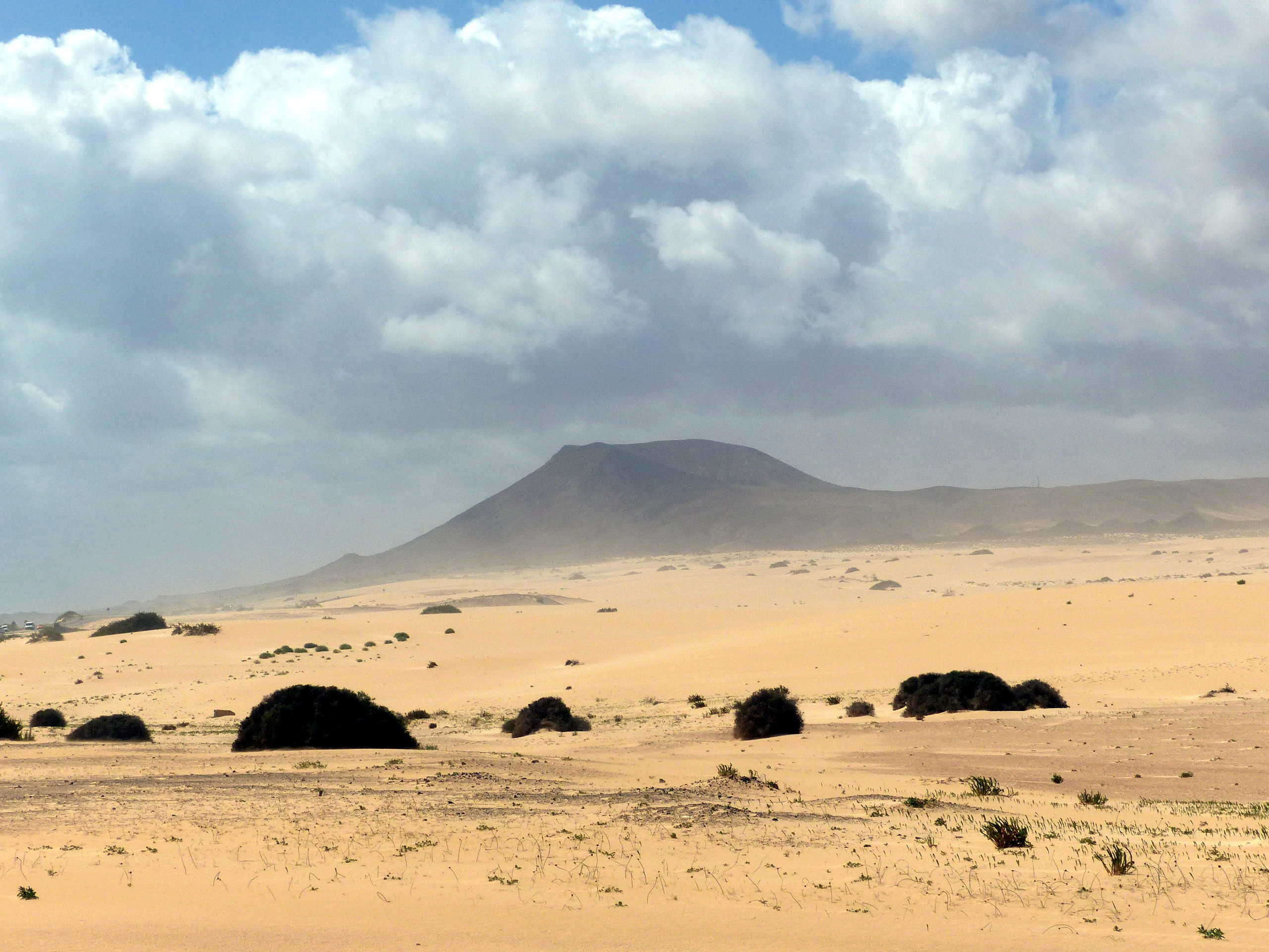 The Corralejo Dunes stretch across golden sand with Monte Tindaya rising distinctly on the horizon.
