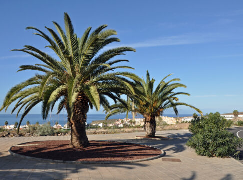 Costa Adeje Coastwalk