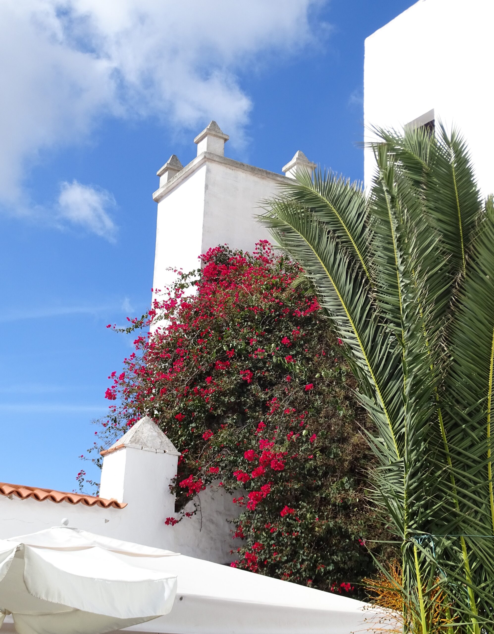 Traditional white architecture adorned with vibrant magenta bougainvillea characterizes the charming streets of Costa Teguise village.