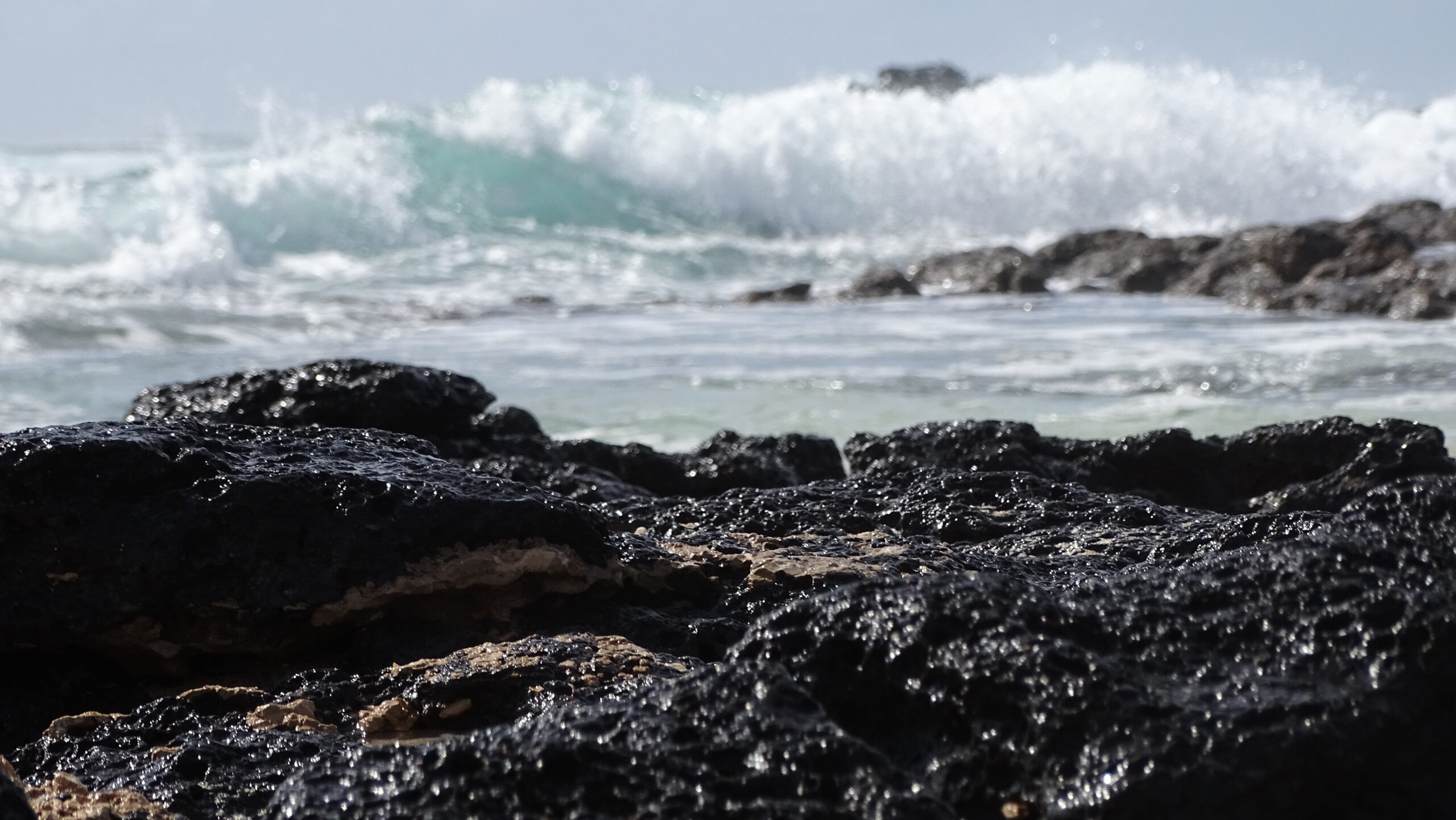 Waves break against the volcanic rock formations at El Cotillo Beach, where the Atlantic Ocean's power shapes the dramatic dark stone landscape.