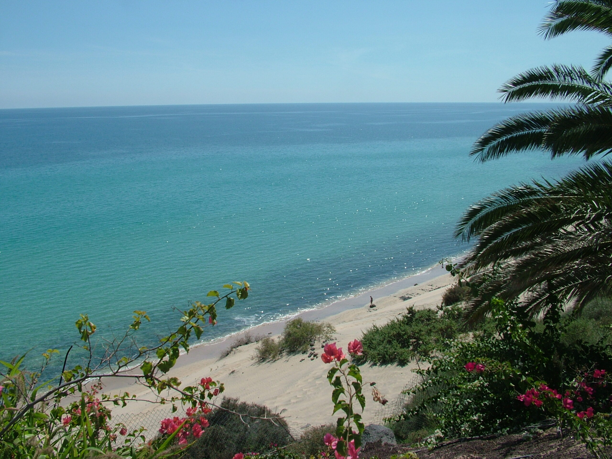 Esquinzo Beach in Jandía features pristine sand, calm turquoise waters, and lush tropical vegetation framing the shoreline.