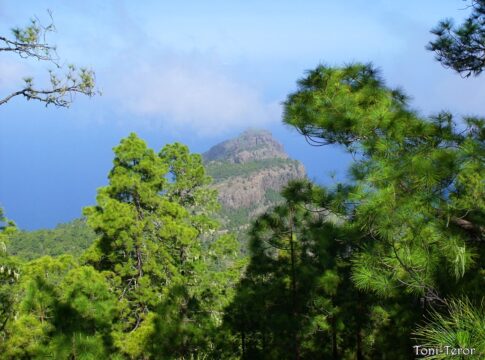 Faneque Coast
