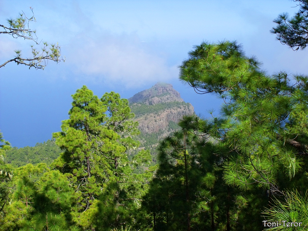 Faneque Coast