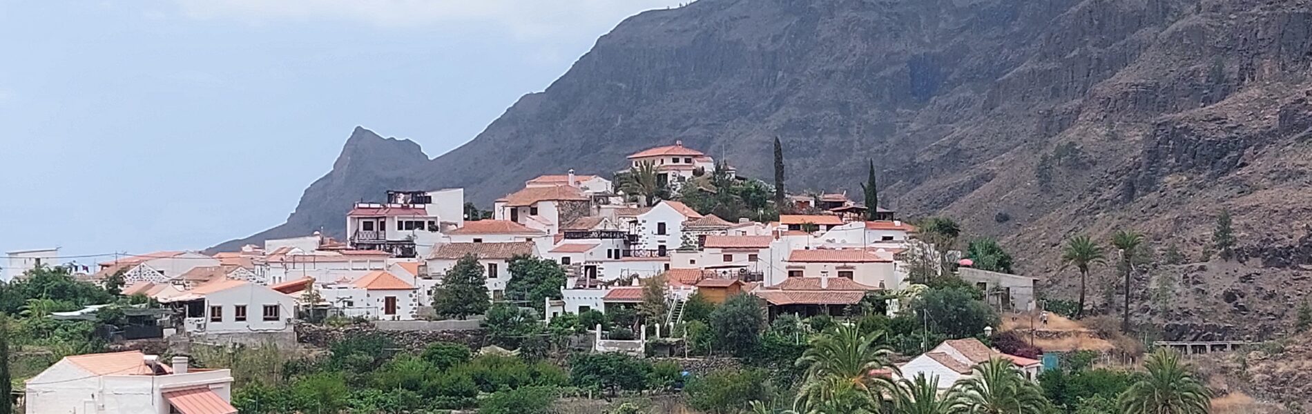 Whitewashed and terracotta-roofed village nestled in a rocky valley with palm trees and green vegetation below steep volcanic cliffs.