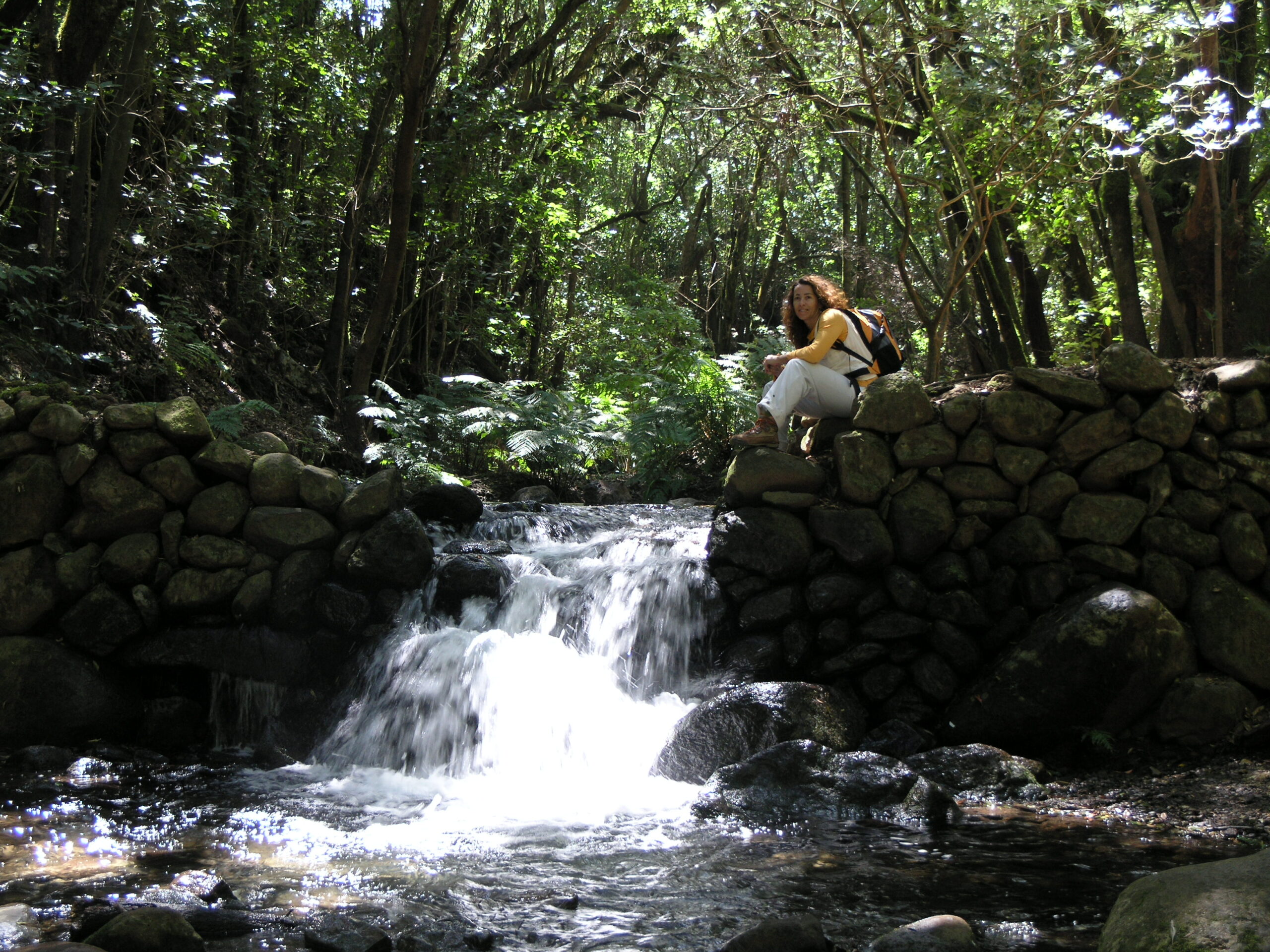 A hiker pauses beside a forest stream in Garajonay's verdant laurel woodland, where moss-covered stone walls line the water's edge.