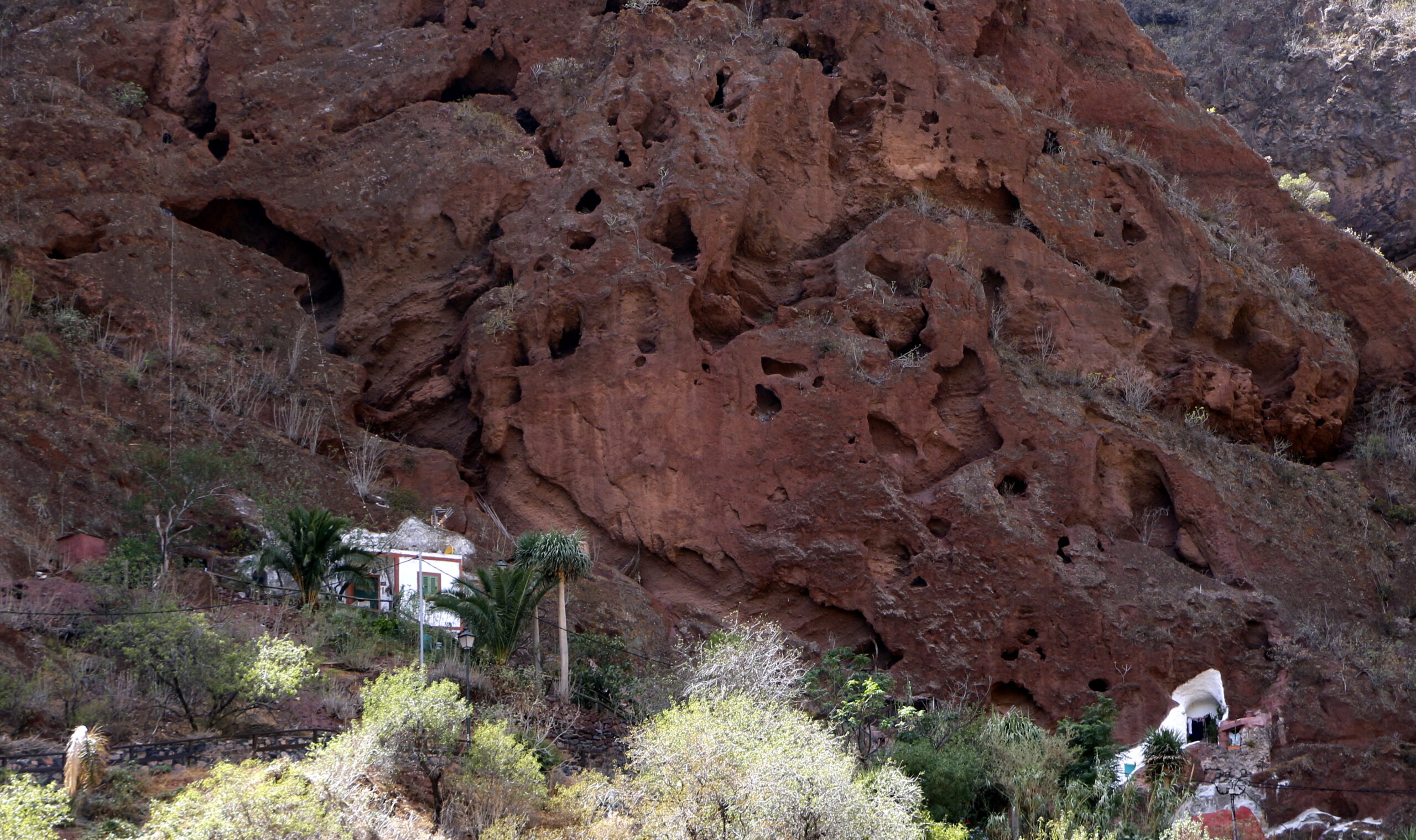 Ancient cave dwellings honeycomb the volcanic cliffs of Guayadeque Ravine, with traditional structures nestled among the lush vegetation below.