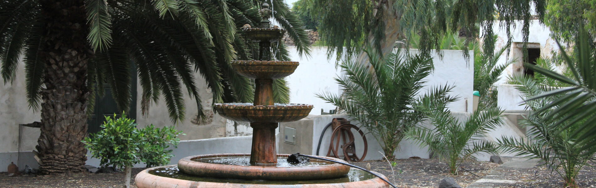 Tiered stone fountain surrounded by palm and cypress trees in a courtyard with white-walled buildings