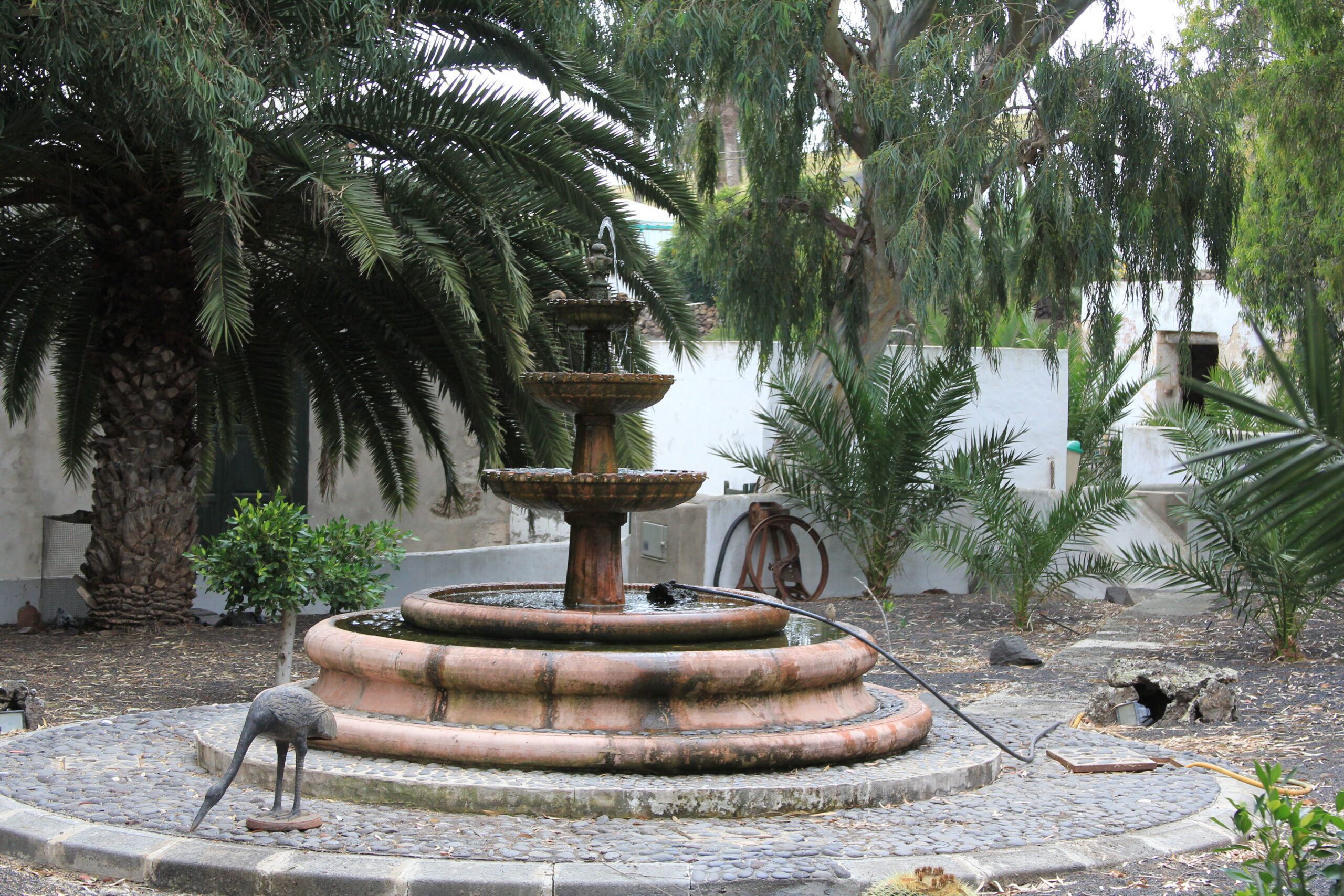 A traditional multi-tiered fountain sits at the heart of Haría village, framed by subtropical palms and native vegetation.
