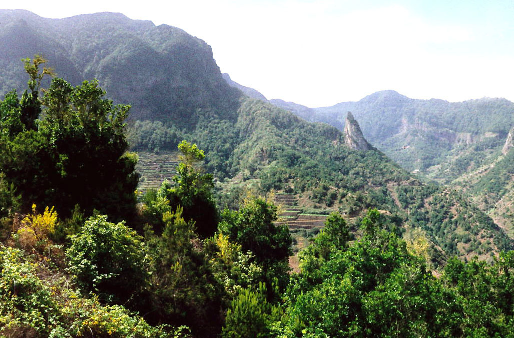 The verdant Hermigua Valley is framed by dramatic peaks and dense laurel forest, with terraced agricultural plots visible in the basin below.