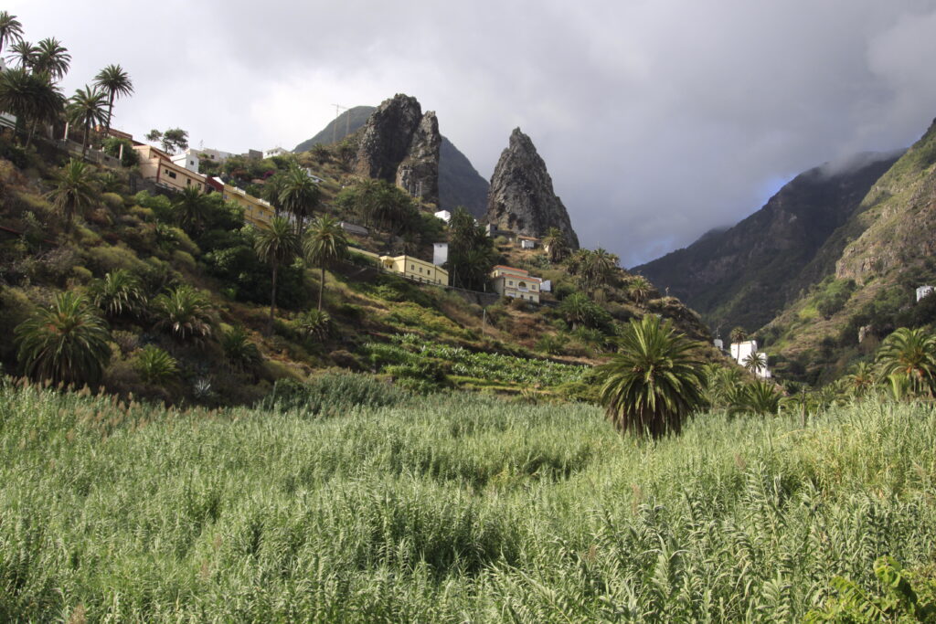 Hermigua Valley