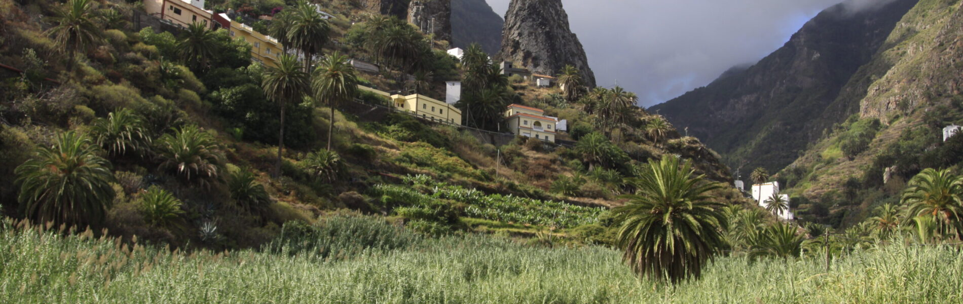 Lush valley with twin rock peaks and terraced hillsides