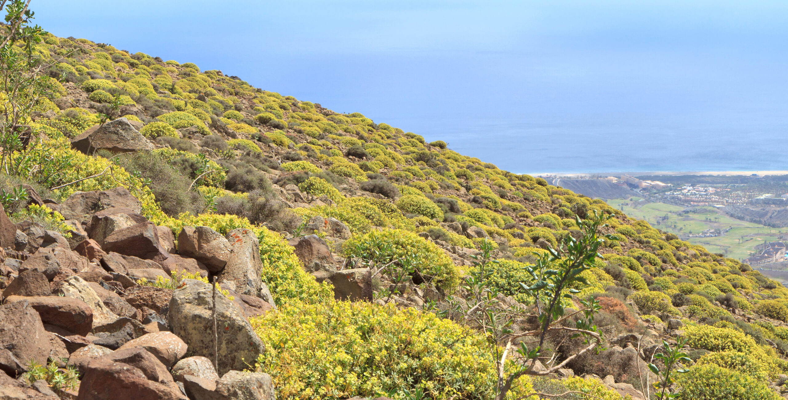The arid volcanic landscape of Jandía Natural Park features sparse desert vegetation clinging to steep rocky slopes.