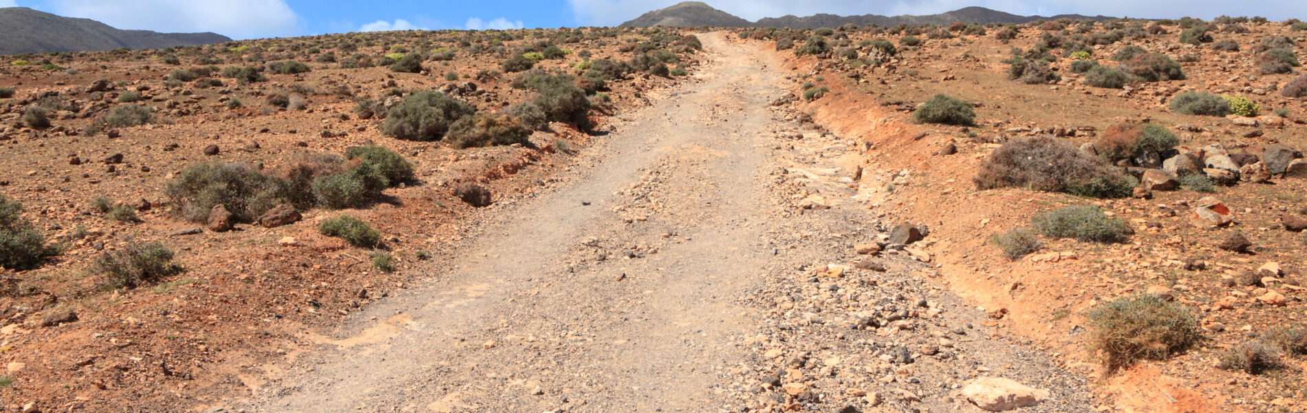 Dirt track running through arid, scrubland terrain with scattered low vegetation and rocky soil under blue sky with white clouds
