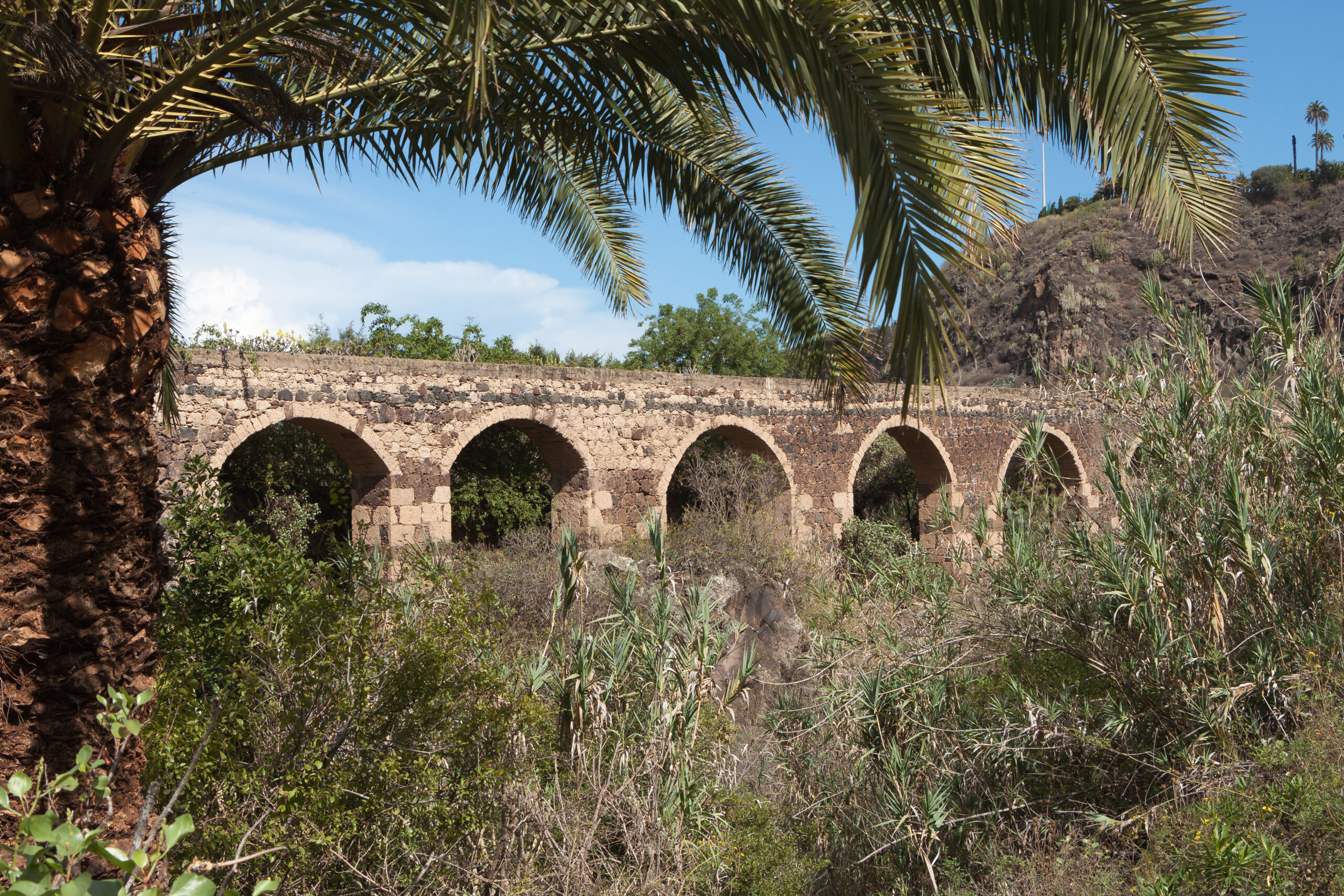 A historic aqueduct with distinctive arched spans stands among palm trees and arid volcanic terrain in the botanical garden.