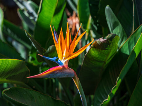 Jardín Botánico