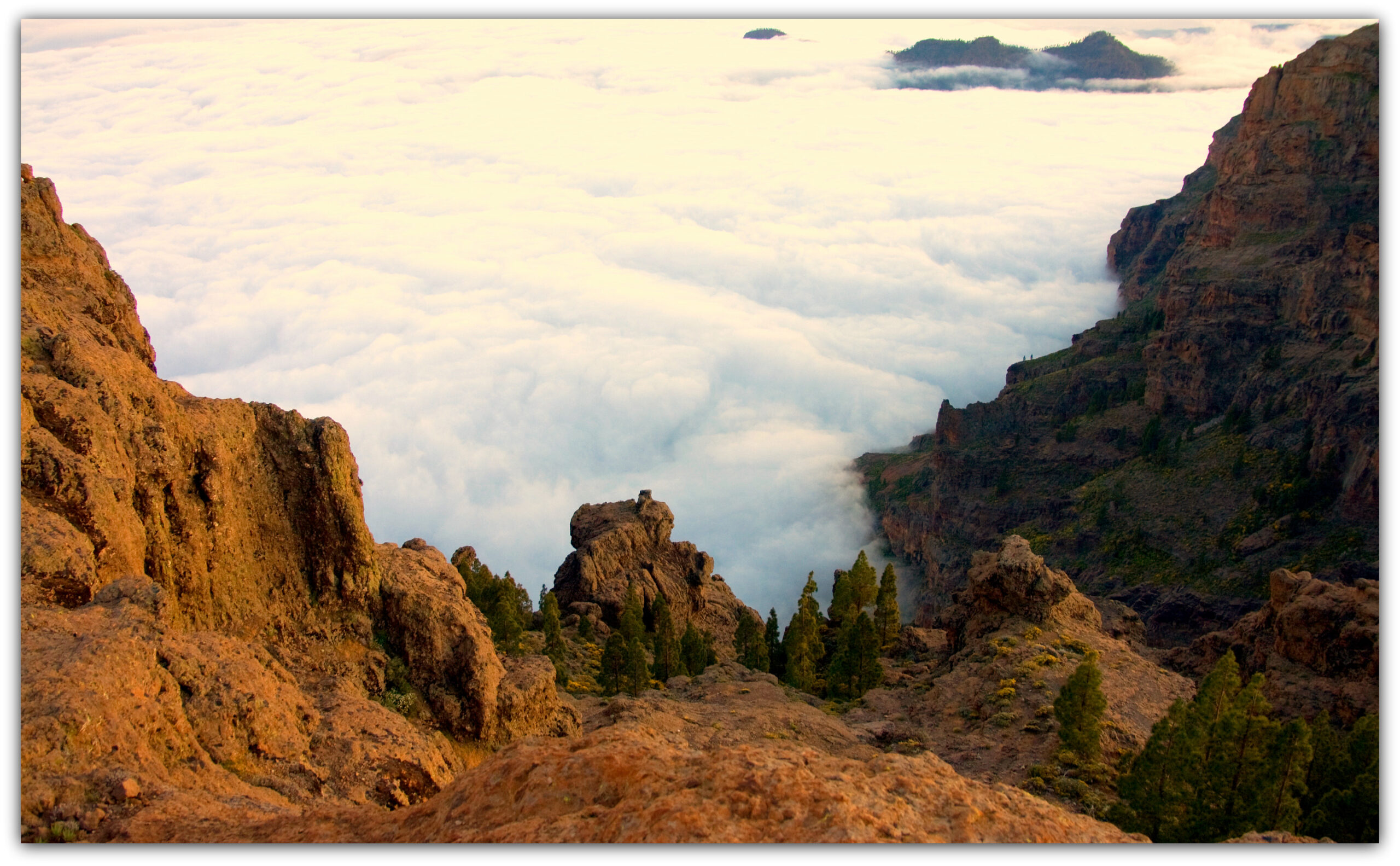The dramatic volcanic landscape of Caldera de Taburiente offers sweeping views above the cloud layer, with jagged rock formations and native Canary Island pines dotting the ridges.