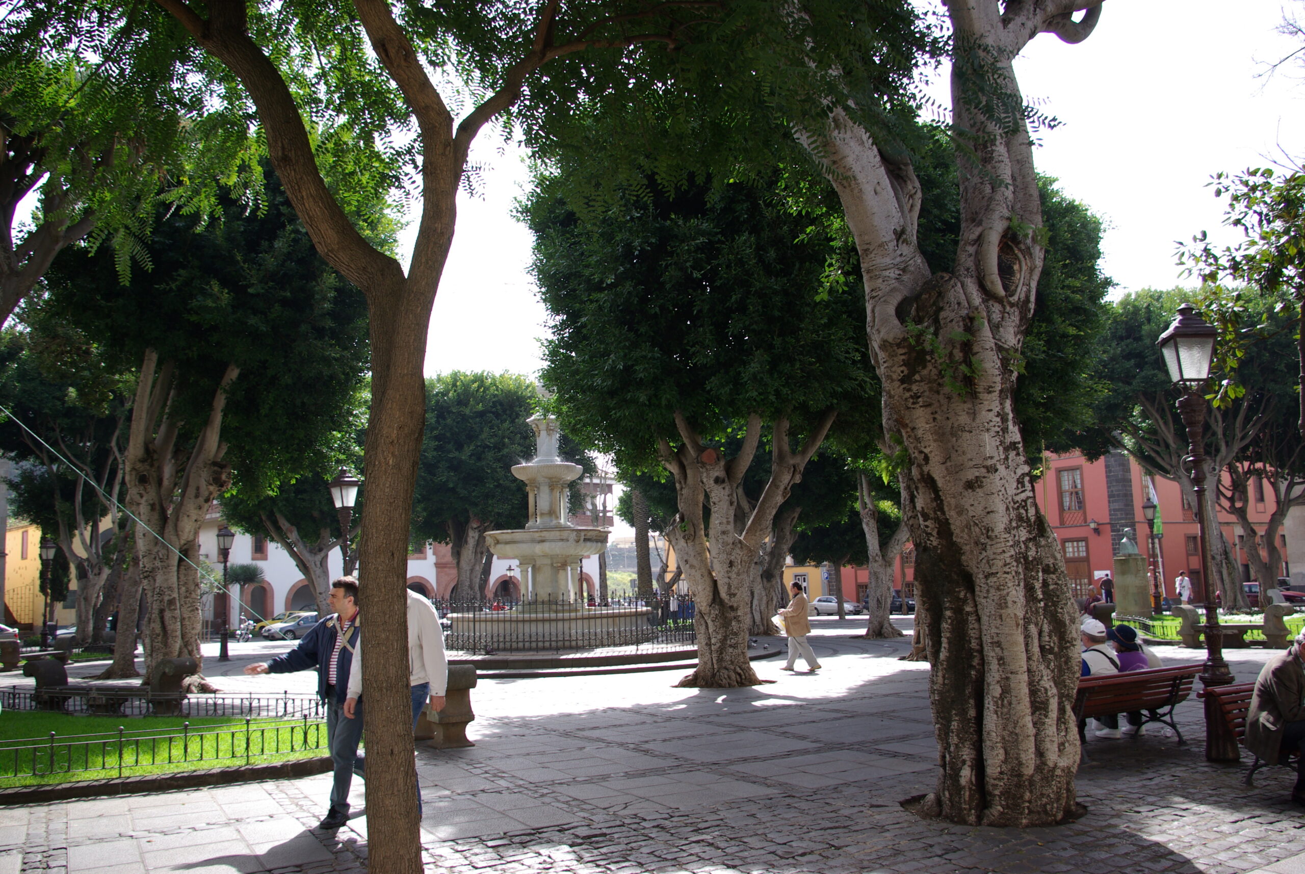 Tree-lined plaza with stone pavement, central fountain, and colorful colonial buildings in bright sunlight
