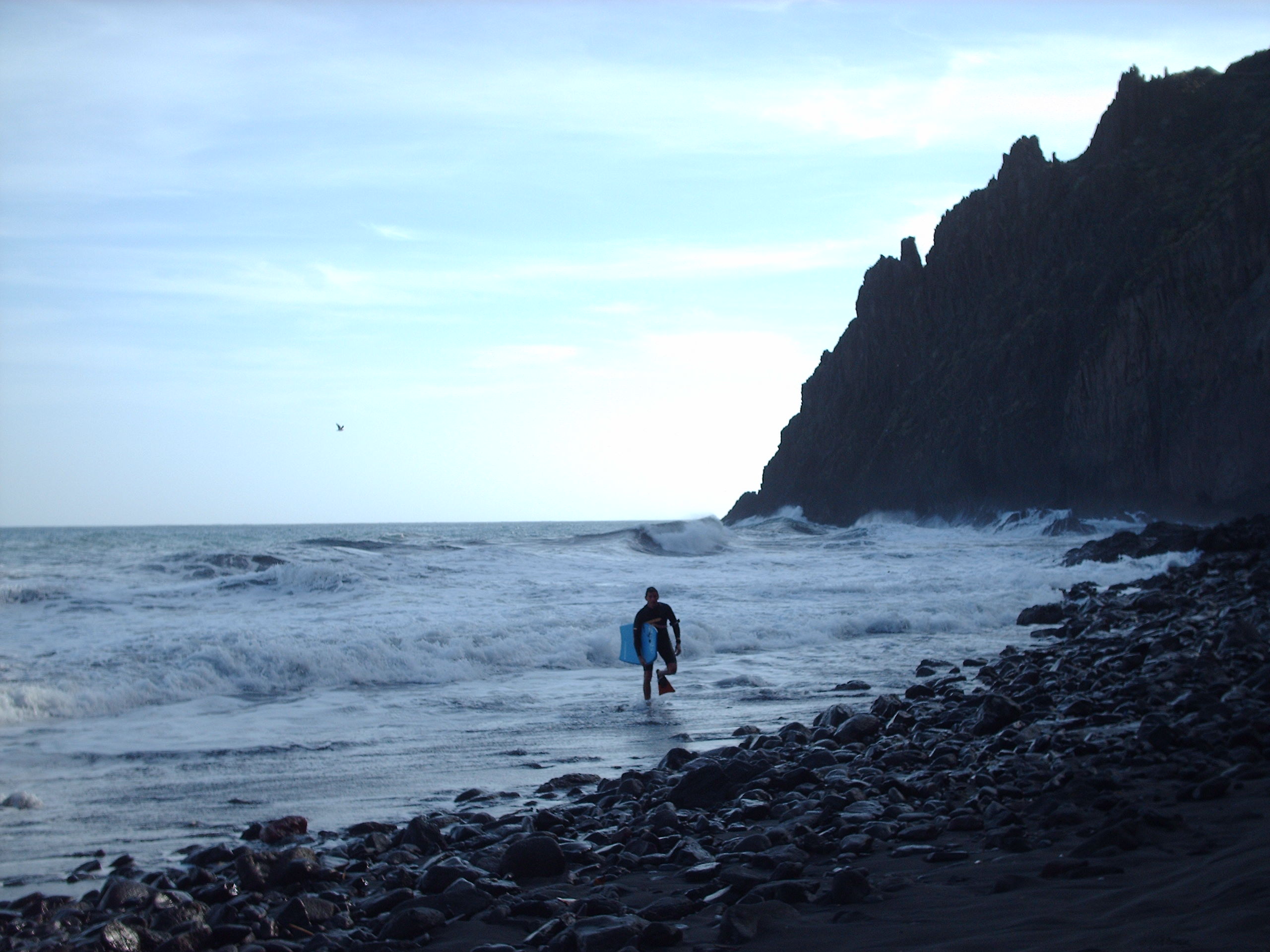 Surfer in wetsuit carrying blue board wading into Atlantic waters below dark columnar basalt cliffs