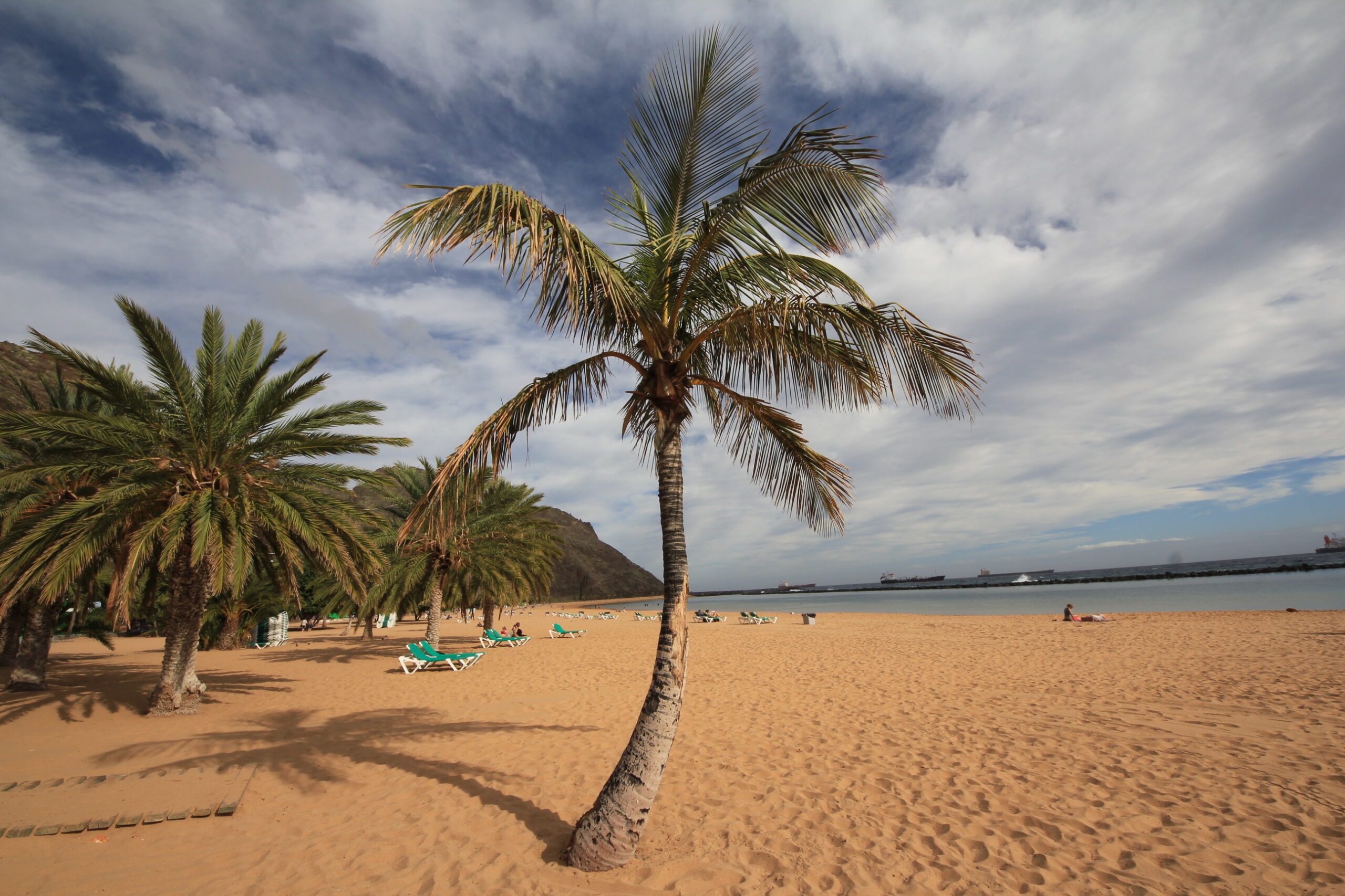 Sandy beach with palm trees, sunbathers on loungers, calm water, and distant ships under partly cloudy sky.