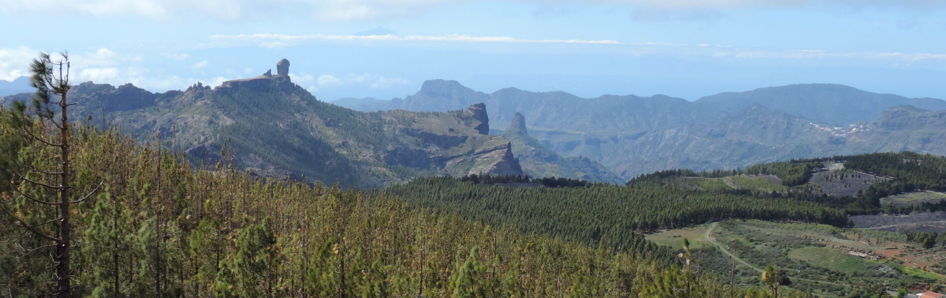 Pine forest and volcanic peaks of Gran Canaria viewed across a wide valley under blue sky with white clouds
