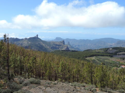 Llanos de la Pez
