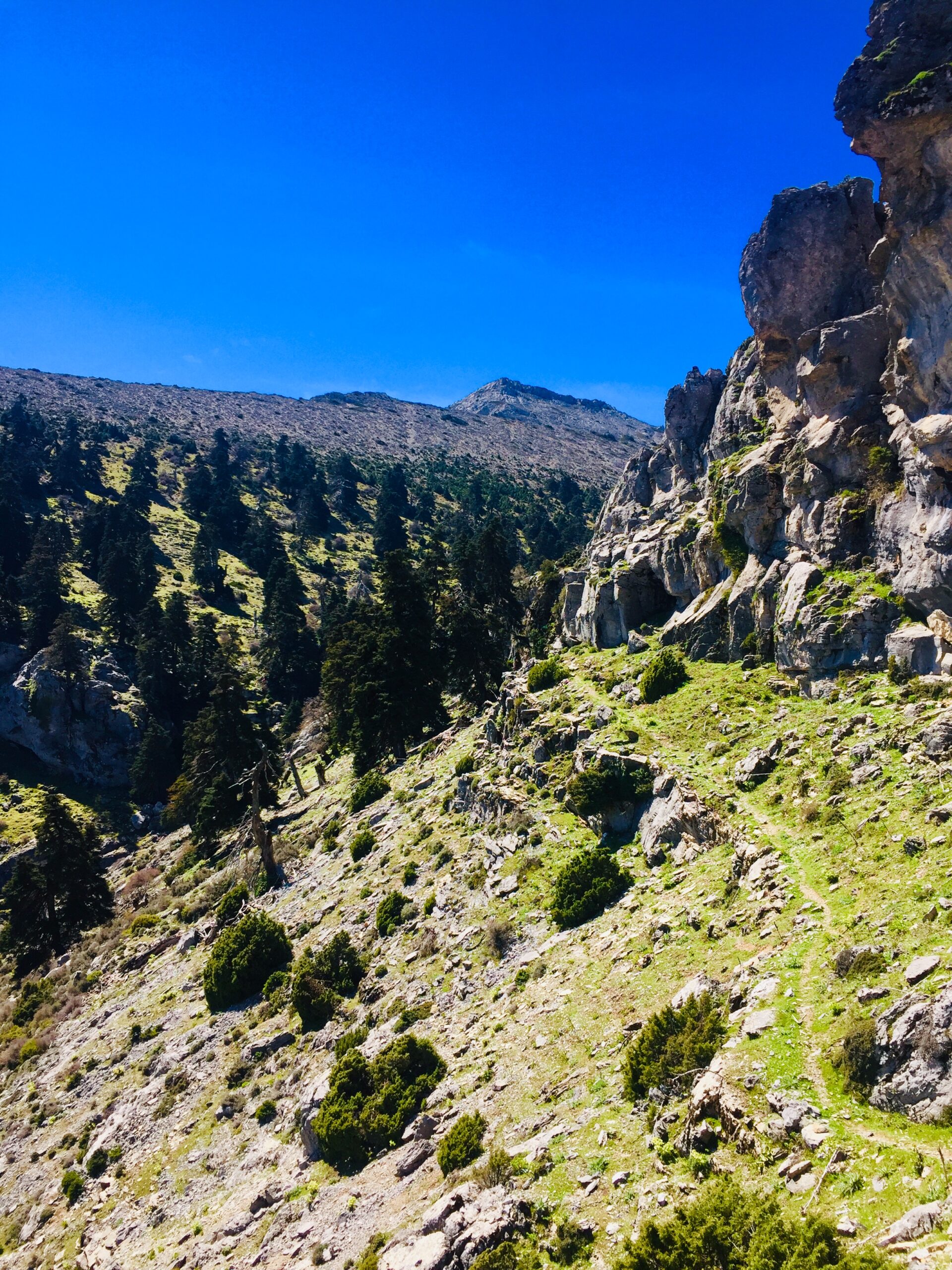 The dramatic terrain of Llanos de la Pez features steep ravines, verdant vegetation, and rocky outcrops typical of Gran Canaria's mountainous interior.