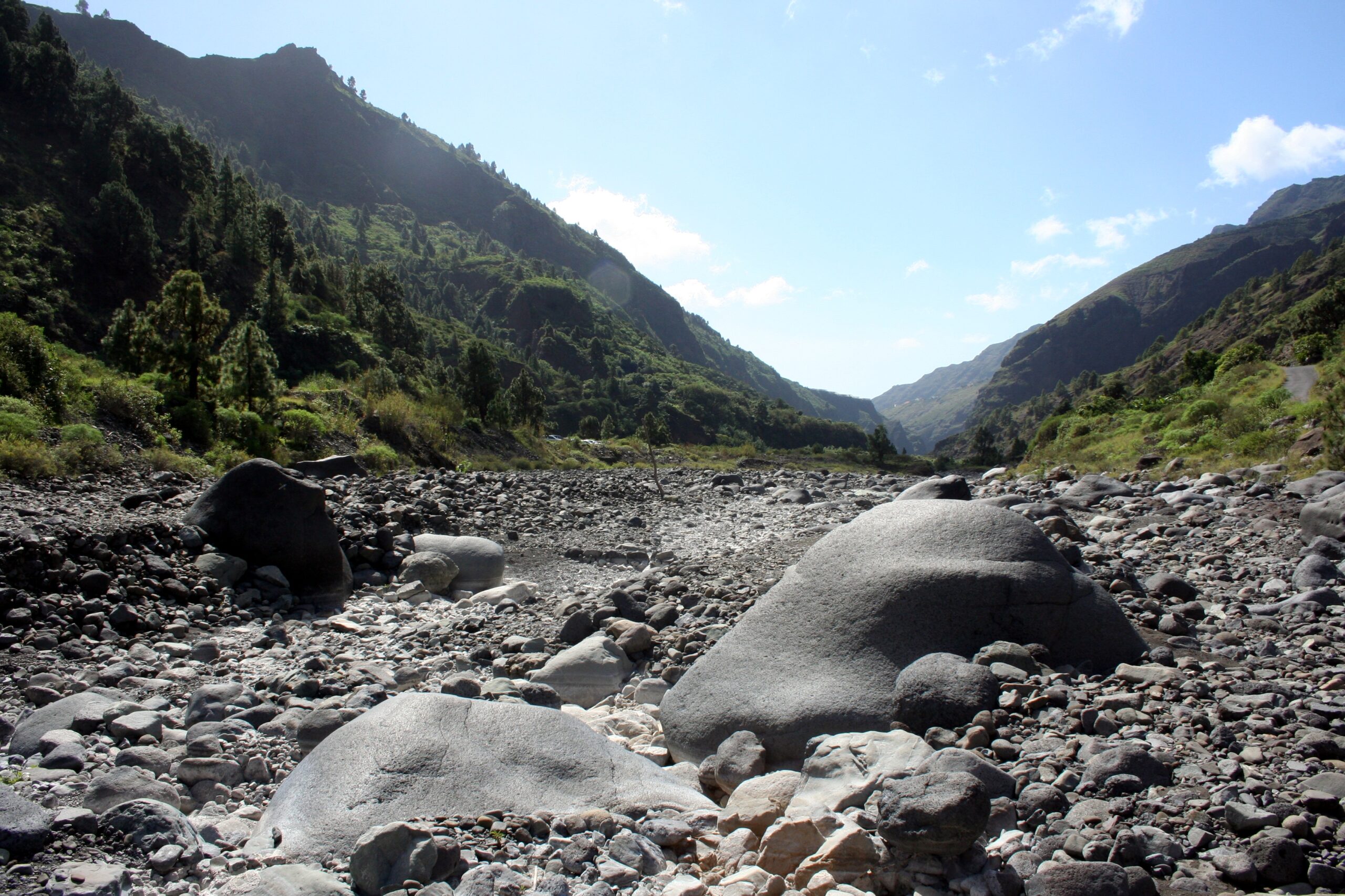 The boulder-strewn bed of a mountain stream winds through the forested valley of Caldera de Taburiente, with steep vegetated slopes rising on either side.