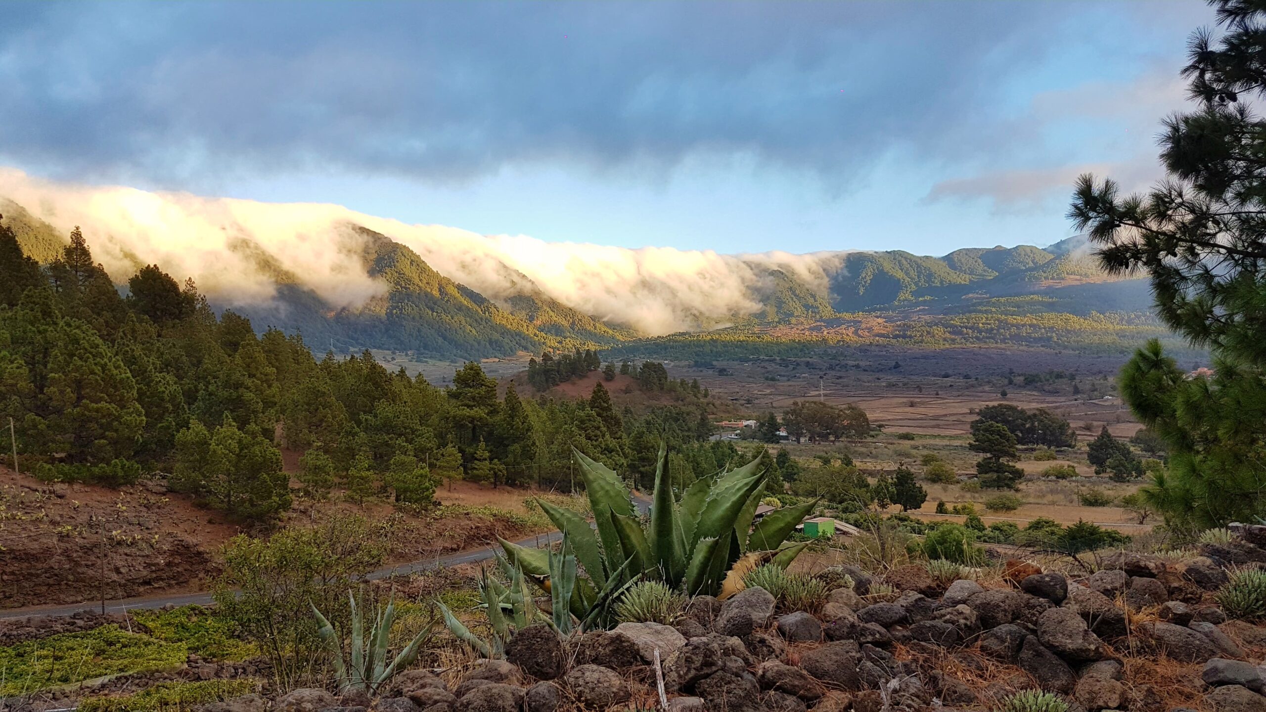 The Caldera de Taburiente rises majestically above the fertile plains of La Palma, with morning mist clinging to the volcanic crater rim and native pine forest clothing the steep interior walls.