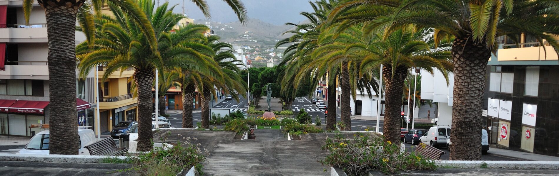 Palm-lined pedestrian street in a town with white buildings on either side, mountains visible in the distance