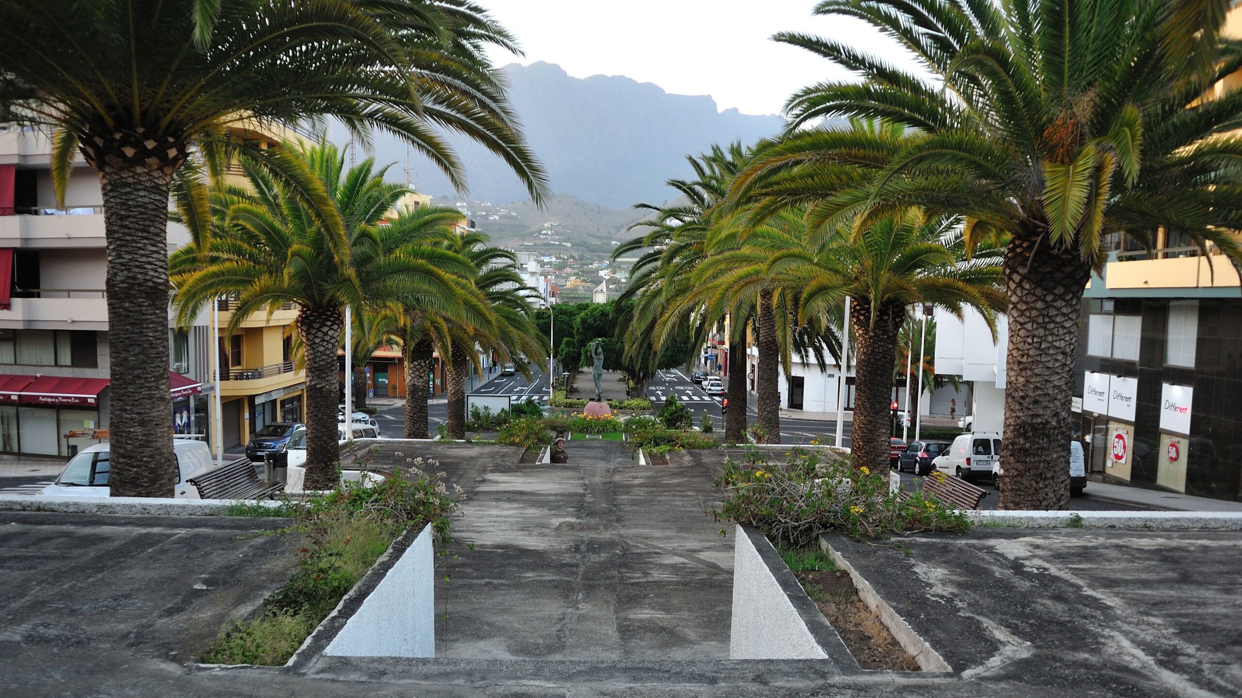 A shaded promenade lined with palms leads through the center of Los Llanos de Aridane, with volcanic mountains rising in the background.