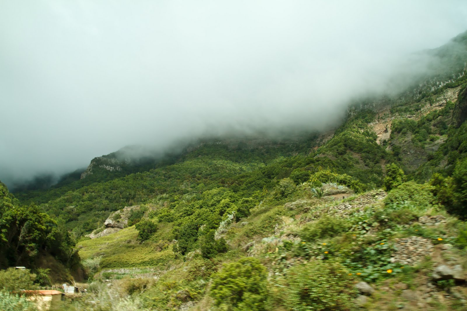 Lush green slopes and misty peaks characterize the dramatic terrain of Majona Natural Park.