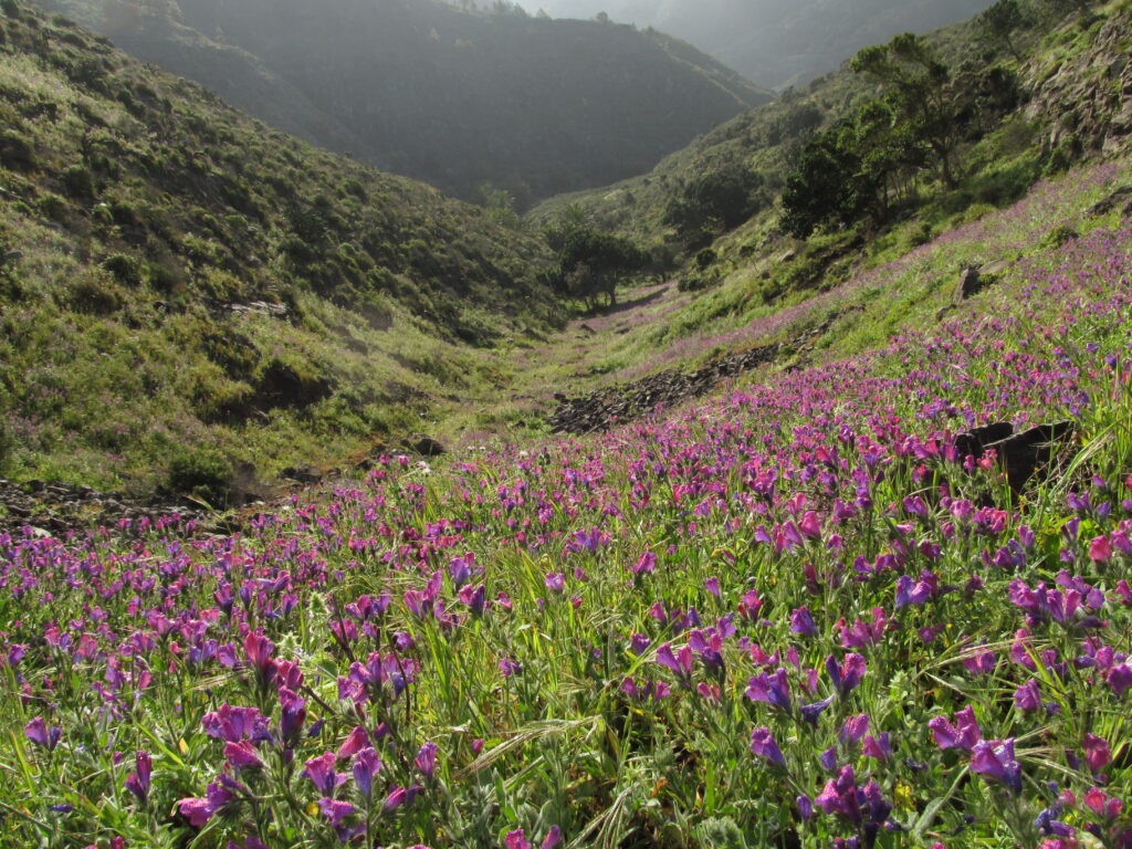 Majona Natural Park