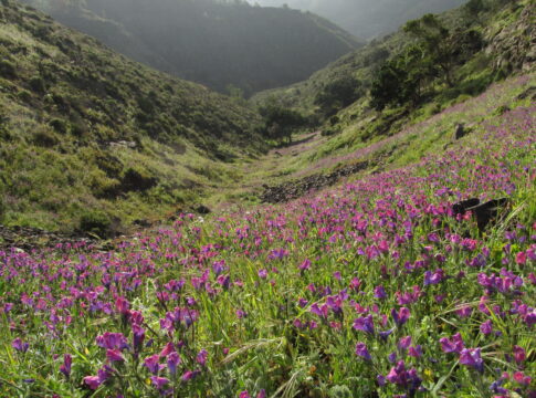 Majona Natural Park