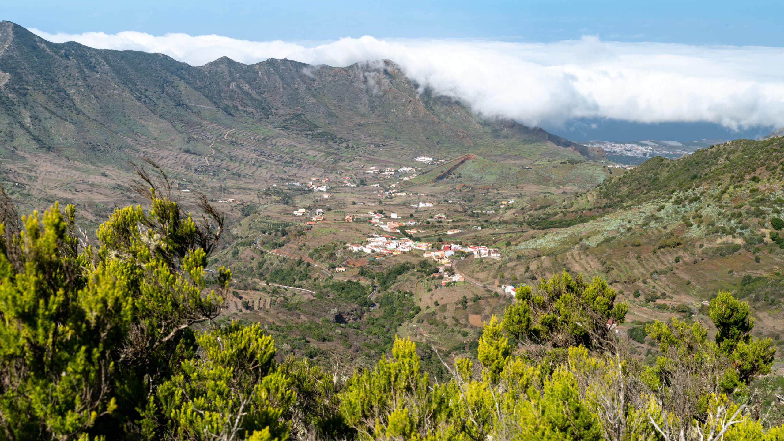 The dramatic valley landscape surrounding the Masca Trail offers sweeping views of traditional settlements nestled among Tenerife's rugged terrain.