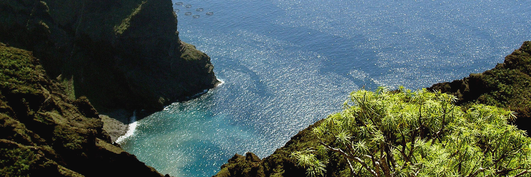 Dramatic sea cove framed by steep dark cliffs and lush green vegetation, turquoise water below meeting open ocean.