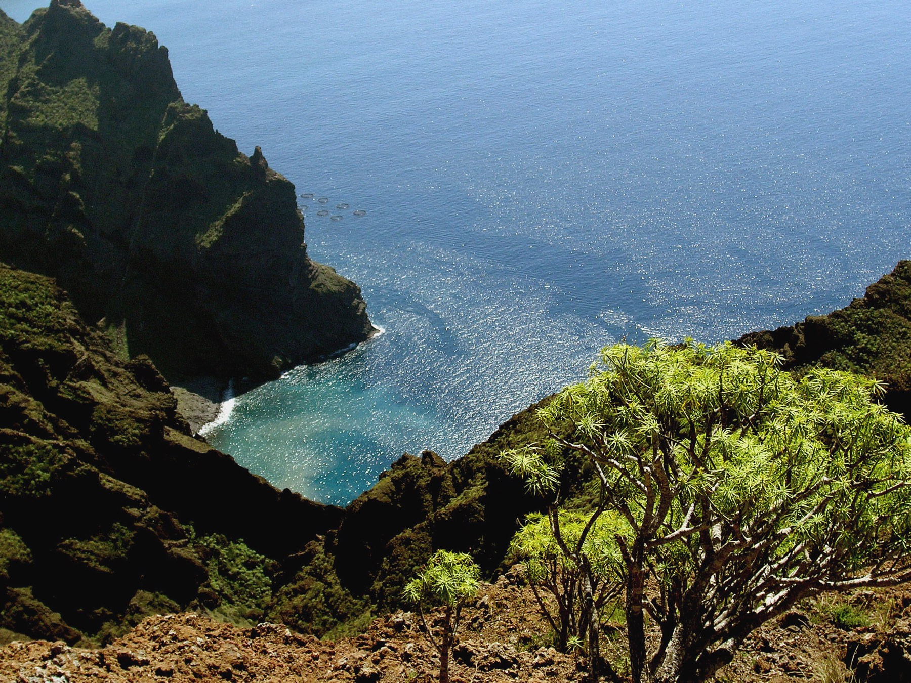 The Masca Trail descends through dramatic volcanic terrain to reveal a hidden cove where turquoise waters meet the Atlantic.