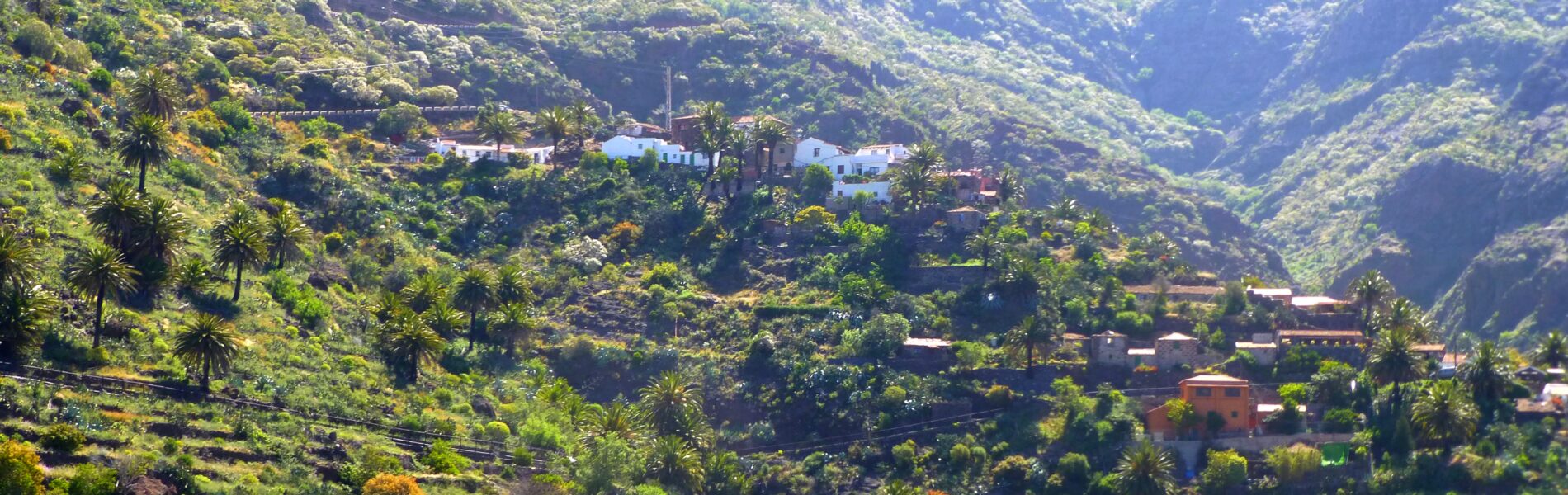 Steep green valley with scattered whitewashed houses nestled among terraced slopes, palm trees, and dramatic volcanic cliffs under bright sunlight