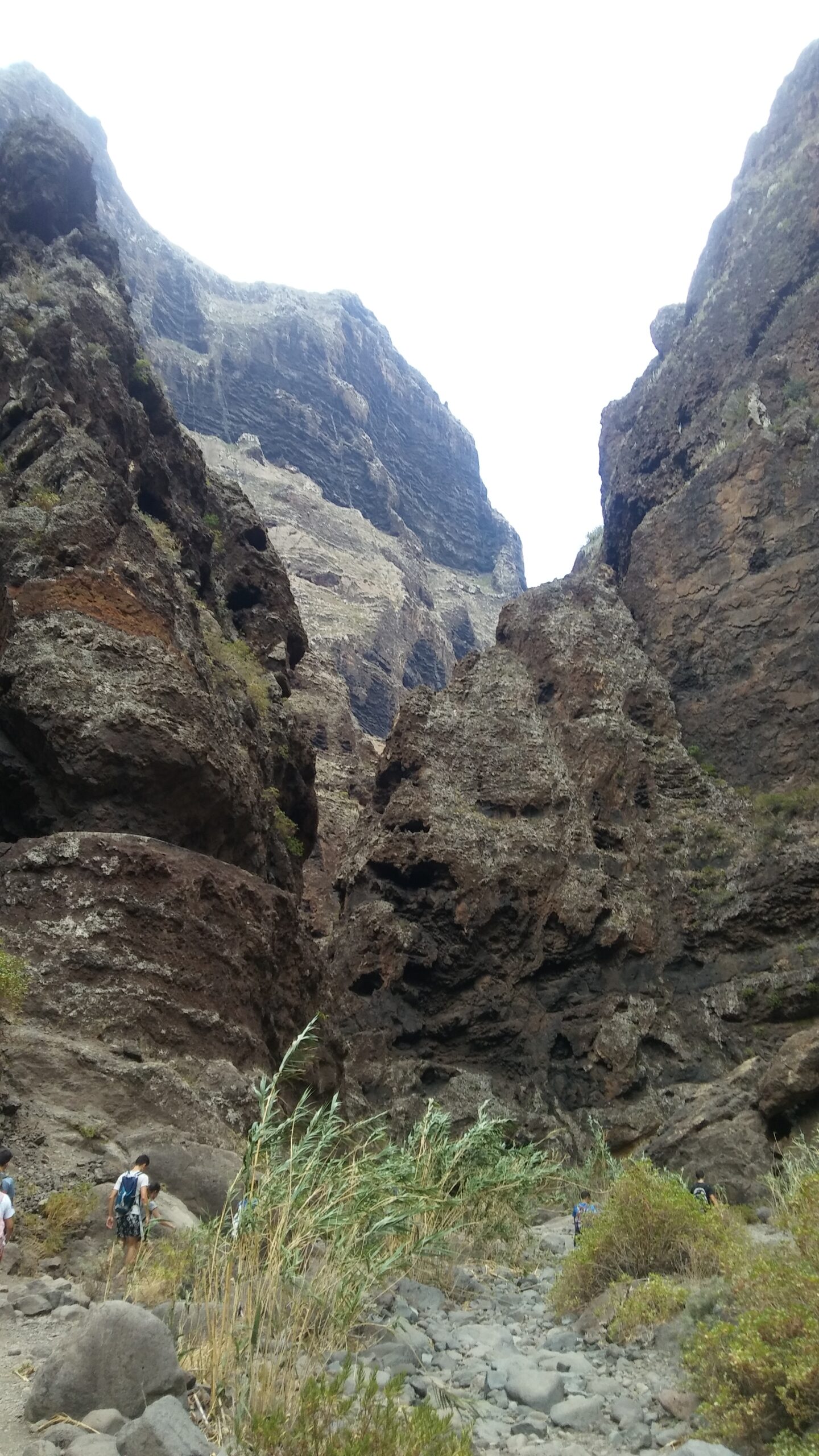 Masca Valley's dramatic canyon walls rise steeply above the hiking trail, creating a narrow passage through volcanic terrain.