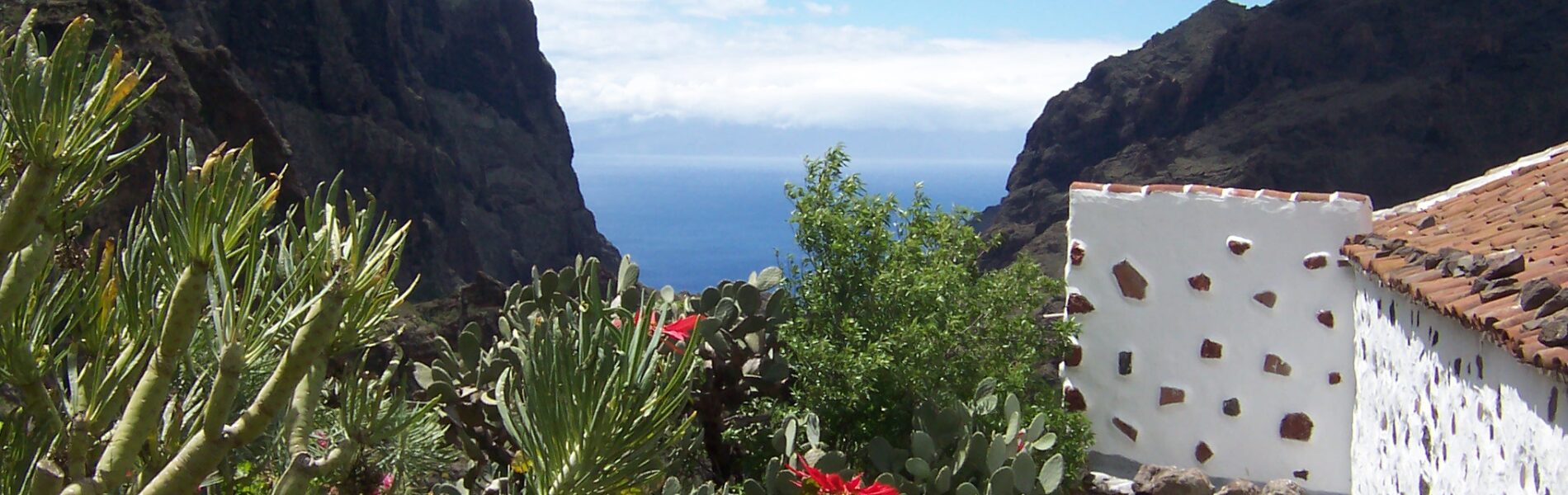 White-walled building with terracotta roof nestled in a steep mountain gorge, surrounded by prickly pear cacti and red flowers, with ocean visible beyond.