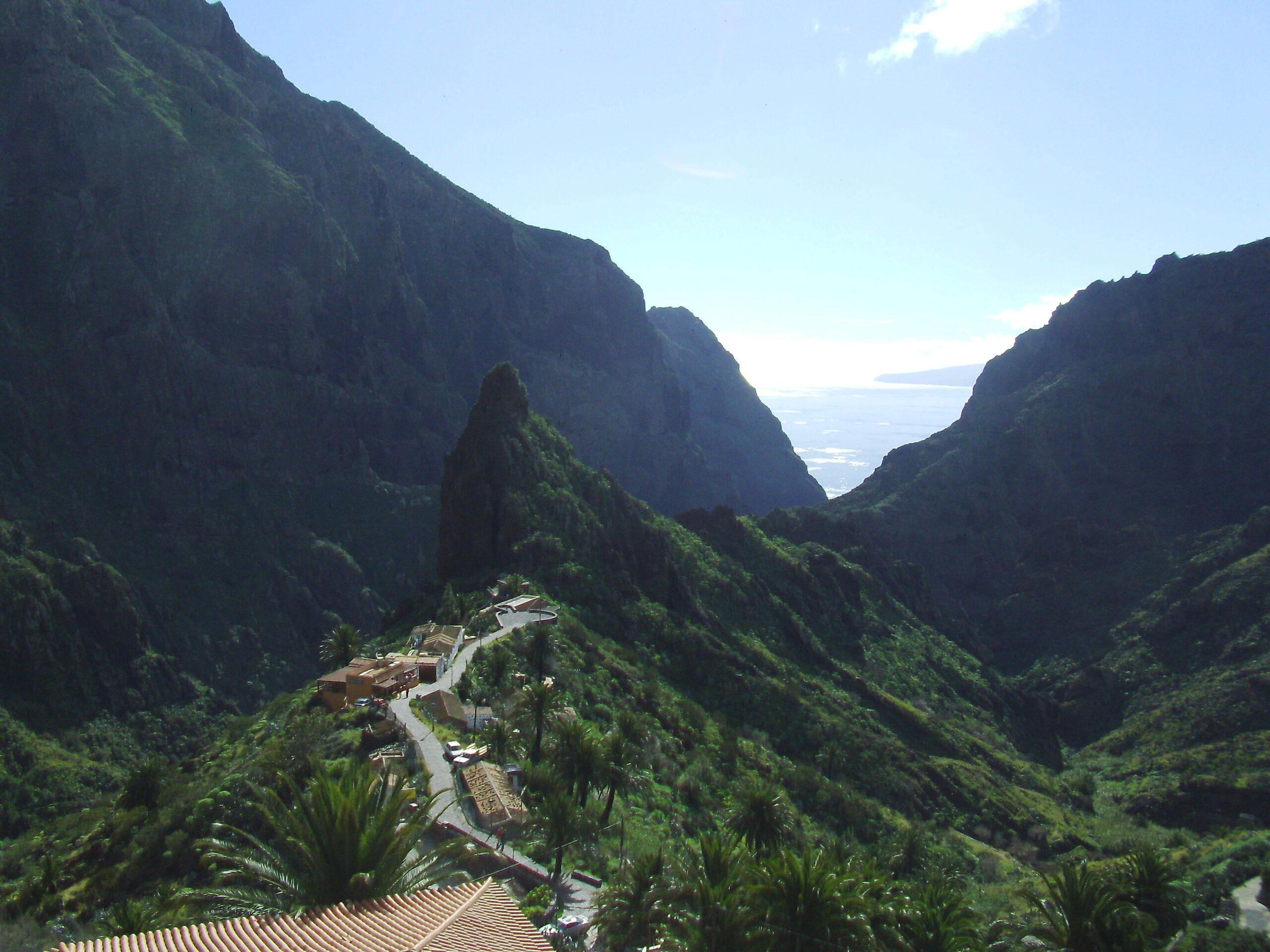 Masca Village clings to the dramatic ravine walls, its winding paths descending through verdant slopes toward the sea below.