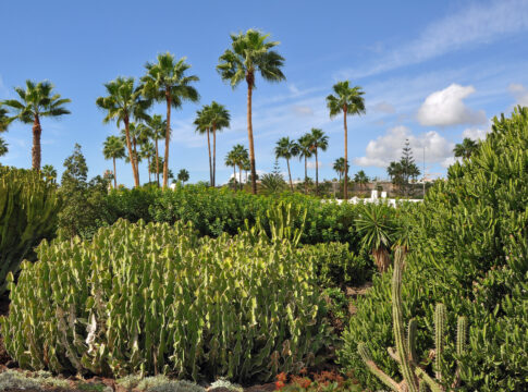 Maspalomas