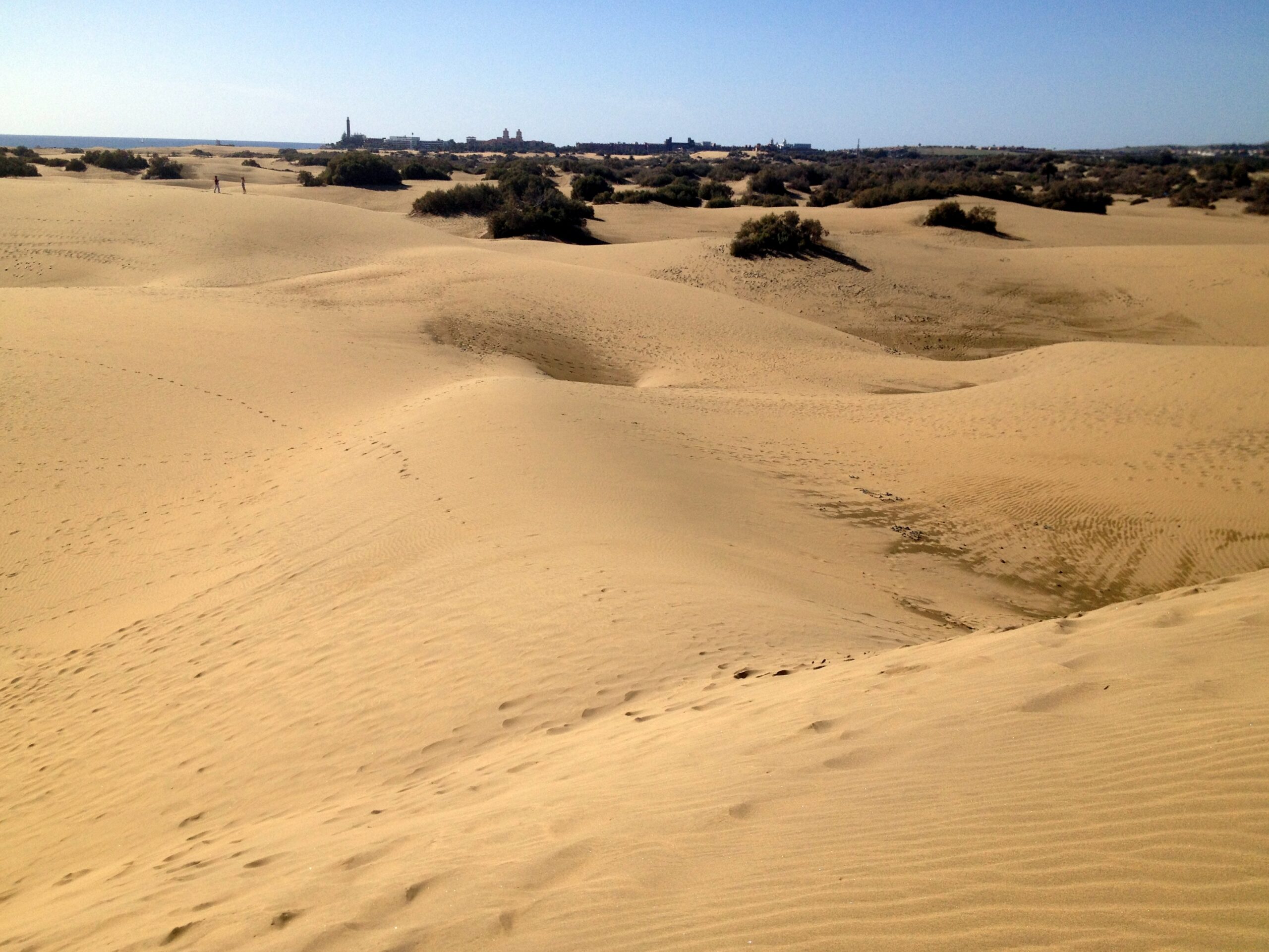 The Maspalomas dune field stretches inland in a series of golden crests shaped by trade winds.