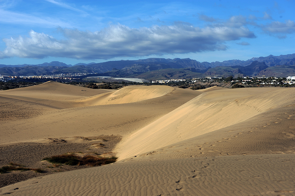 Wind‑shaped ridges form the shifting desert landscape of the Maspalomas Dunes.
