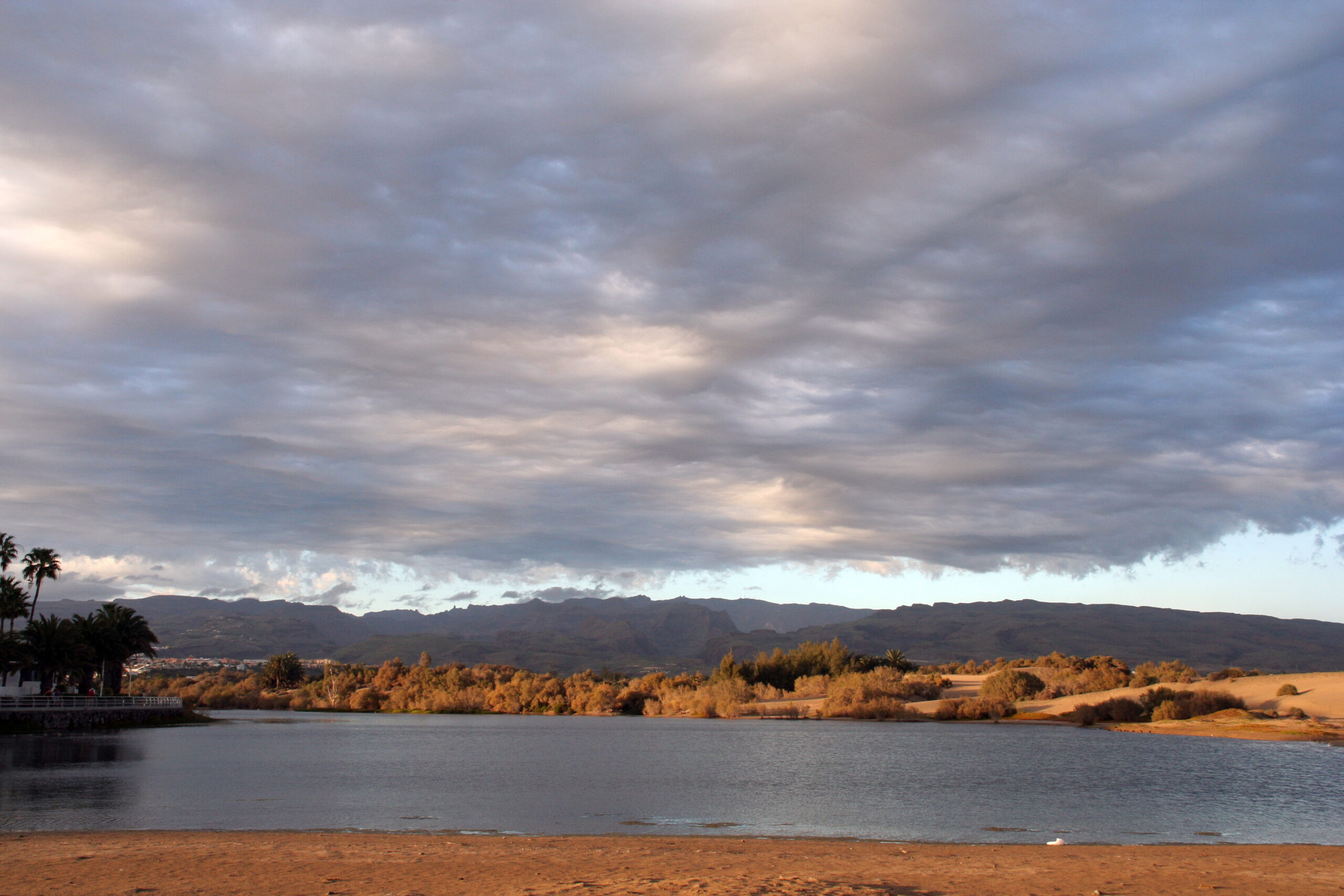 The sheltered lagoon at Maspalomas, fringed with vegetation and backed by mountains.